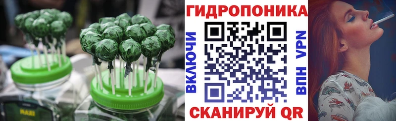 Canna-Cookies конопля  mega маркетплейс  Бийск  где найти  