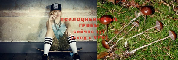 ешки Балахна